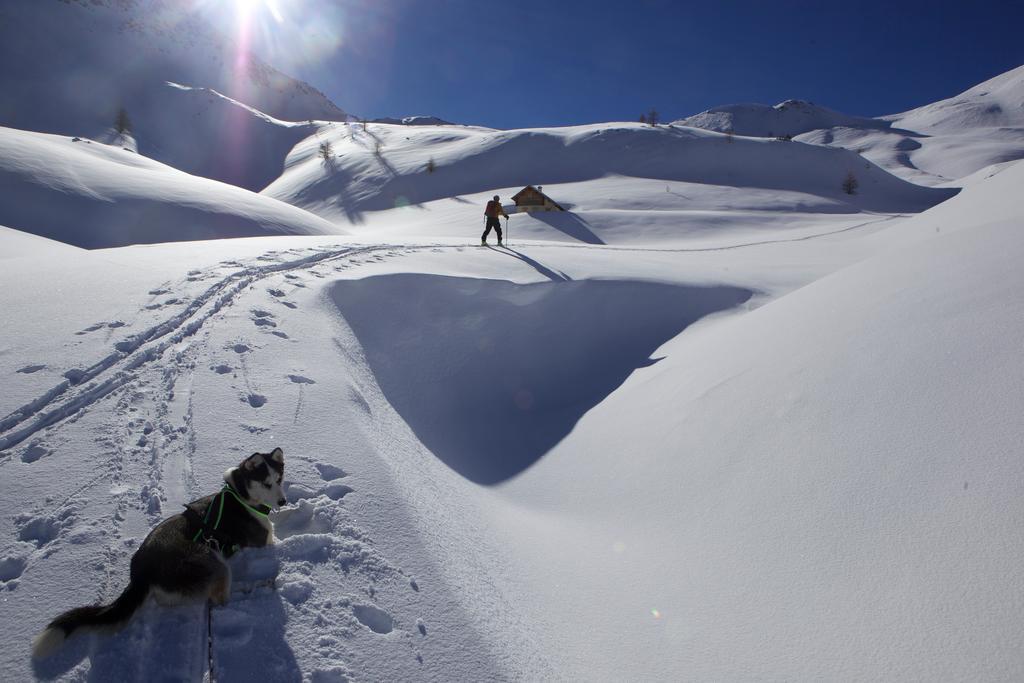 Le Chalet Viso Arvieux Eksteriør billede